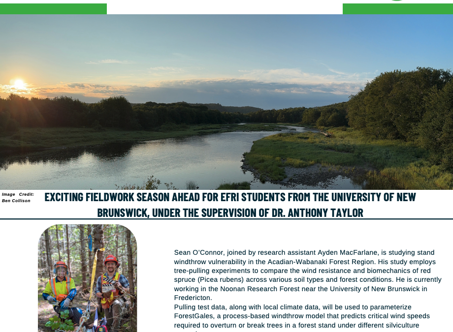 EFRI Newsletter Summer 2025