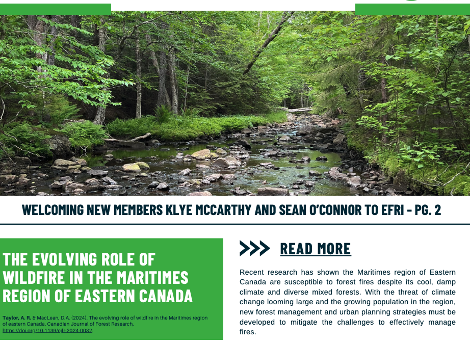 EFRI Newsletter Summer 2024