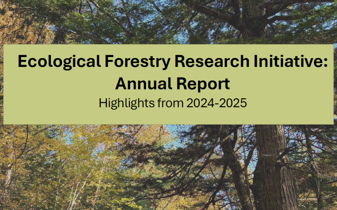 EFRI Annual Report 2024-2025